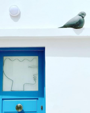 Cyclops House